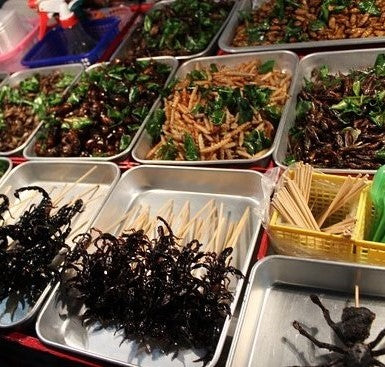 Various strange Asian foods 🦗🕷️ displayed in trays at a street market, showcasing unique edible insects.