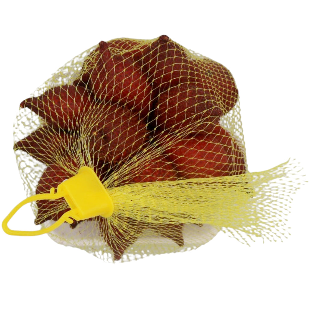 Blue Jay Salak Fruit 500g - Tuk Tuk Mart