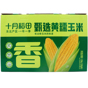 Shiyue Daotian Yellow Glutinous Corn (220g*6pcs) 十月稻田黄糯玉米 1.32kg - Tuk Tuk Mart
