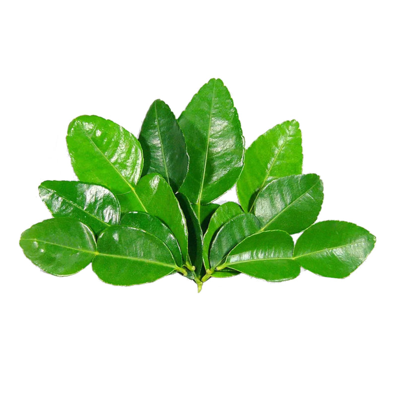 Fresh Sack Tree Leaf (Thai) 100g - Tuk Tuk Mart