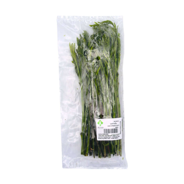 Fresh Lead Shoot (Gratin)(Thai) 100g - Tuk Tuk Mart