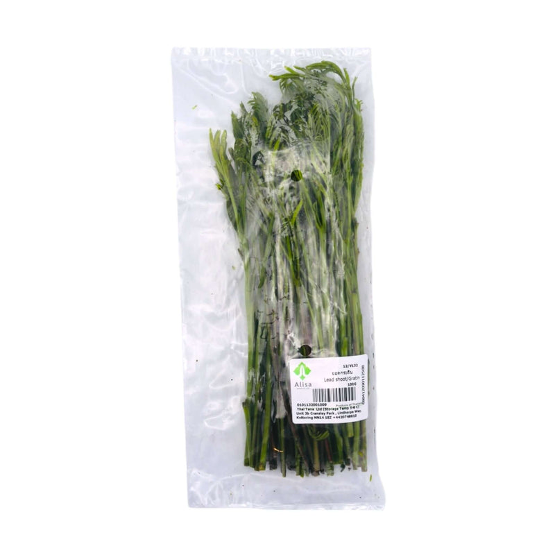 Fresh Lead Shoot (Gratin)(Thai) 100g - Tuk Tuk Mart