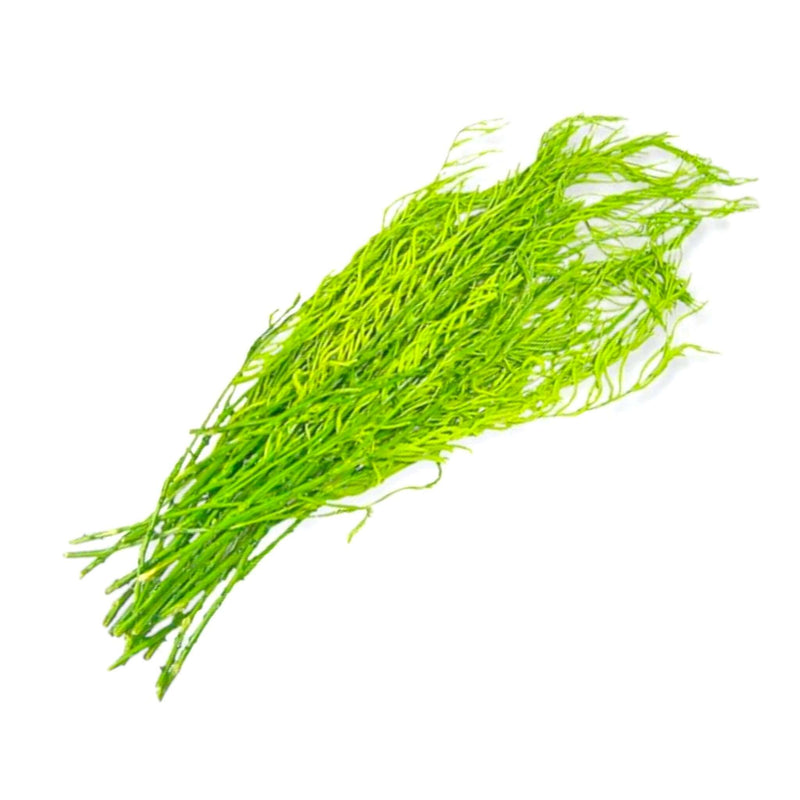 Fresh Acacia (Thai) 100g - Tuk Tuk Mart