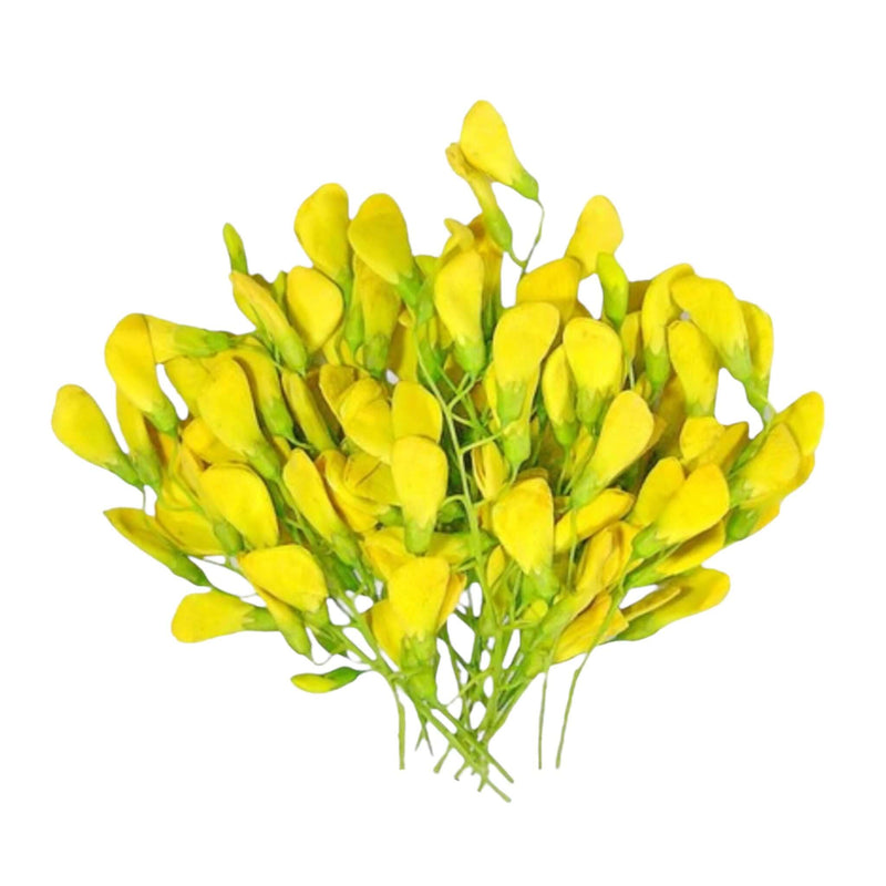 Fresh Yellow Sesbania Flower (Thai) 100g - Tuk Tuk Mart