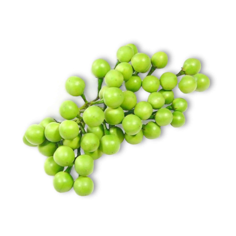 Fresh Nightshade (Thai) 100g - Tuk Tuk Mart