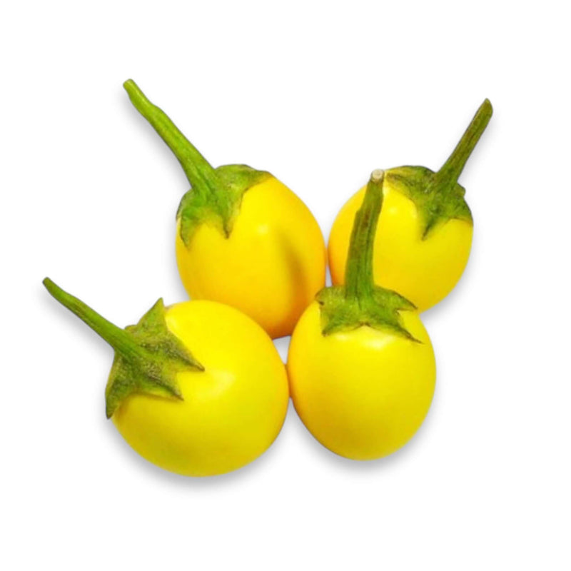 Fresh Yellow Eggplant (Thai) 200g - Tuk Tuk Mart