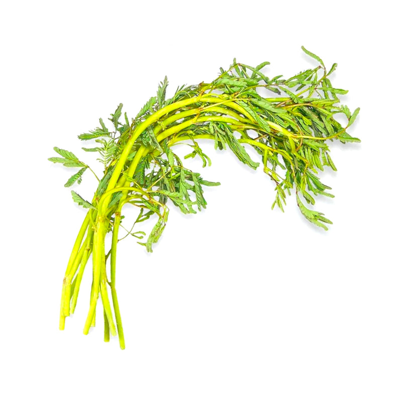 Fresh Water Mimosa (Thai) 200g - Tuk Tuk Mart