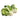 Fresh White Pak Choi 500g - Tuk Tuk Mart