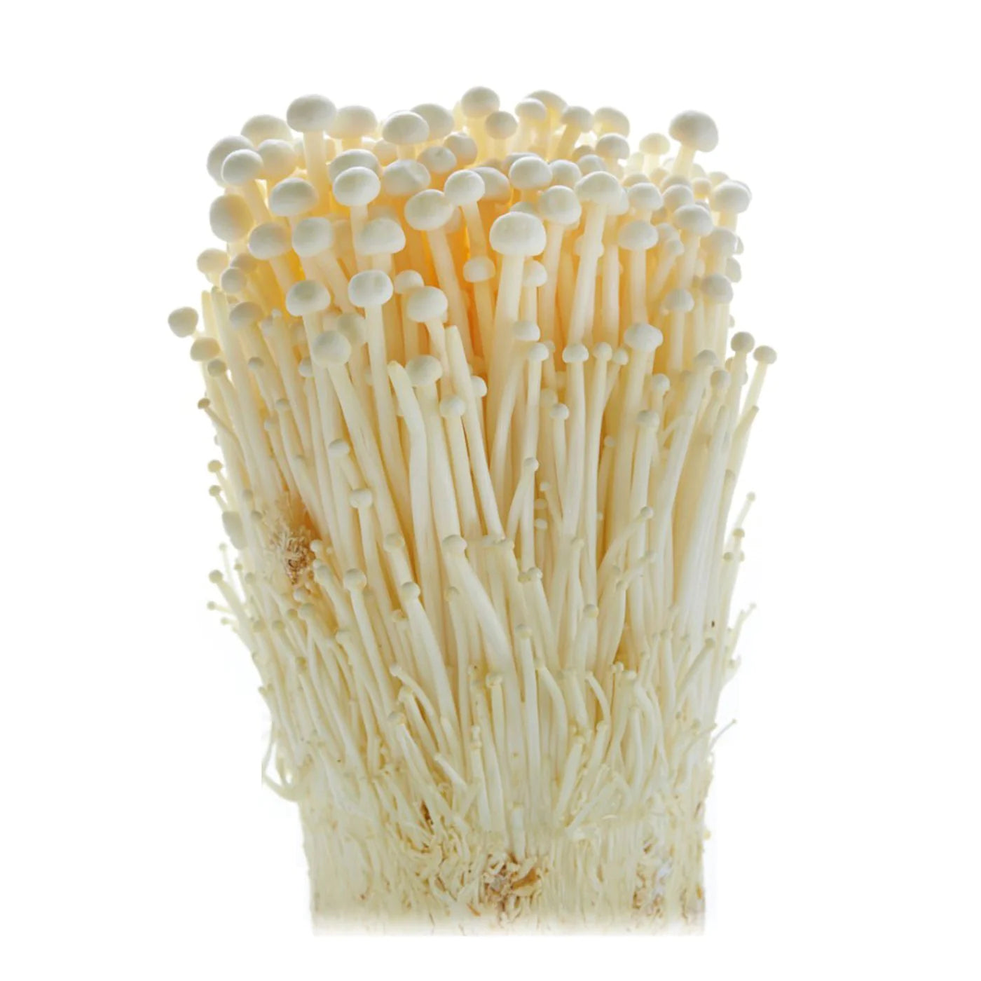 Enoki Mushroom (200g) 金針菇 - Tuk Tuk Mart