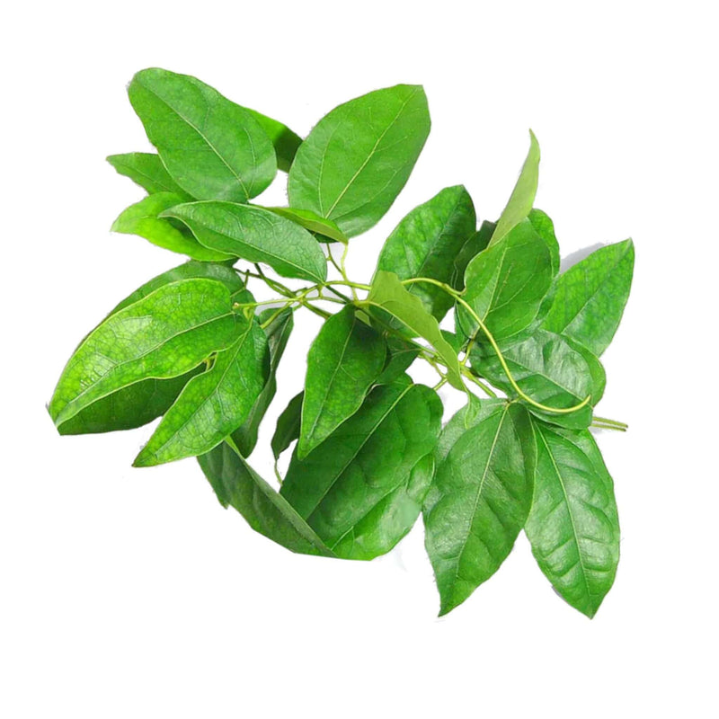 Fresh Sack Tree Leaf (Thai) 100g - Tuk Tuk Mart