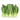 Green Pak Choi 500g | Tuk Tuk Mart