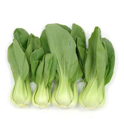 Green Pak Choi 500g | Tuk Tuk Mart