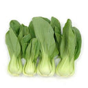 Green Pak Choi 500g | Tuk Tuk Mart