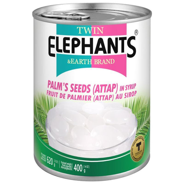 Twin Elephants & Earth Brand Palm Seeds (Attap) in Syrup 620g | Tuk Tuk Mart