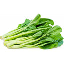 Choi Sum 新鮮菜心 250g | Tuk Tuk Mart