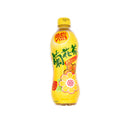 Vita Honey Chrysanthemum Tea Drink 500ml | Tuk Tuk Mart