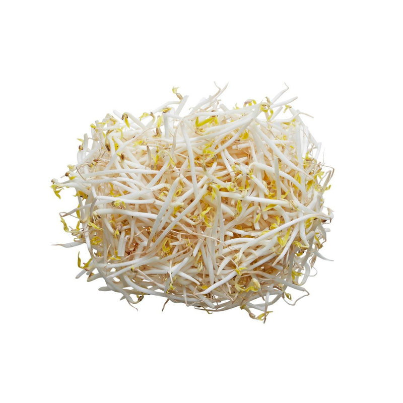 Beansprouts 芽菜 400g | Tuk Tuk Mart