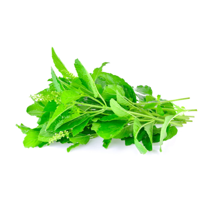 Fresh Thai Holy Basil 100g | Tuk Tuk Mart