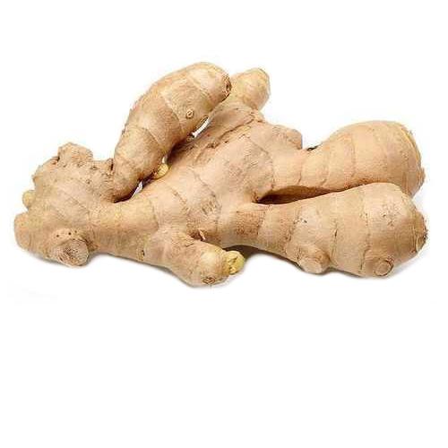 Fresh Ginger Root 新鮮薑 300g | Tuk Tuk Mart