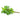 Fresh Thai Sweet Basil 100g | Tuk Tuk Mart