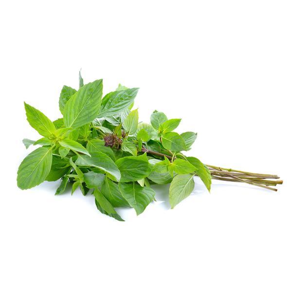 Fresh Thai Sweet Basil 100g | Tuk Tuk Mart